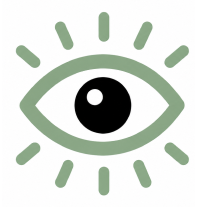 vision